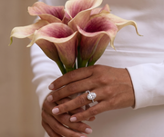 eb-feature-engagement-rings.png